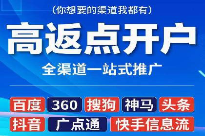 百度竞价赚钱的实战案例分析